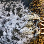 Moules quagga : une invasion silencieuse menace l’approvisionnement en eau du Léman